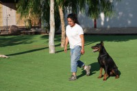 /album/trabajo-deportivo/curso-accam-17-06-10-030-jpg/